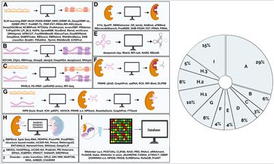 Computational tools to study RNA-protein complexes